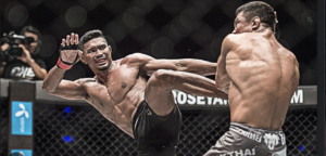 mixed-martial-arts-em-brasilia