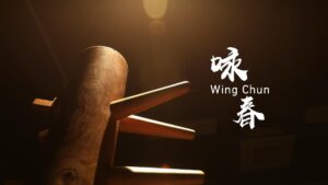 sistema-de-kung-fu-wing-chun