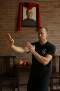 kung-fu-tradicional-brasilia-asa-norte