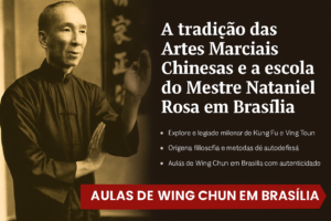 aulas-de-wing-chun-em-brasilia