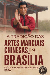 mestre-de-artes-marciais-brasilia