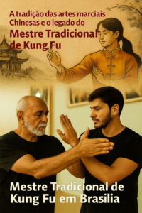 mestre-tradicional-de-kung-fu