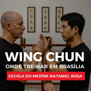 onde-treinar-wing-chun-em-brasilia