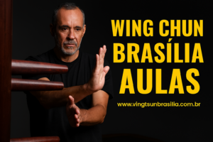 wing-chun-para-iniciantes-brasilia-df
