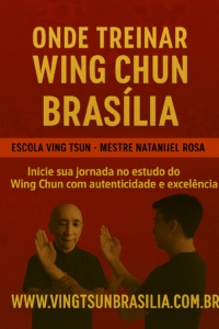 onde-treinar-wing-chun-brasilia