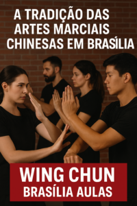 wing-chun-brasilia-aulas