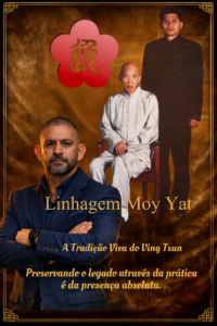 arte-marcial-wing-chun-para-excelencia-estrategica-brasilia